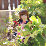 شنل قرمزی روبی - Image 2